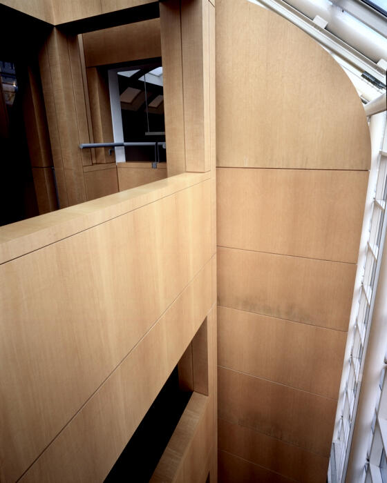 High Muesum Anegre Fiddleback 2.jpeg